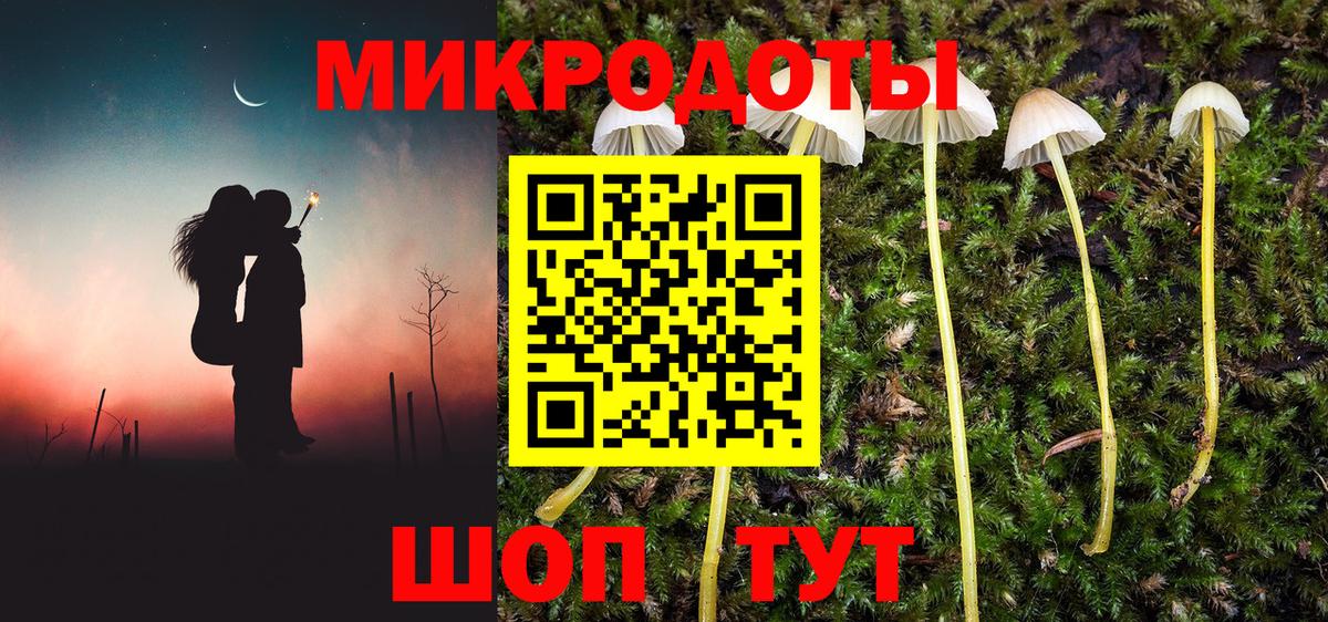 Псилоцибиновые грибы прущие грибы  Псилоцибиновые грибы Psilocybe  Волгодонск  Вход с VPN 